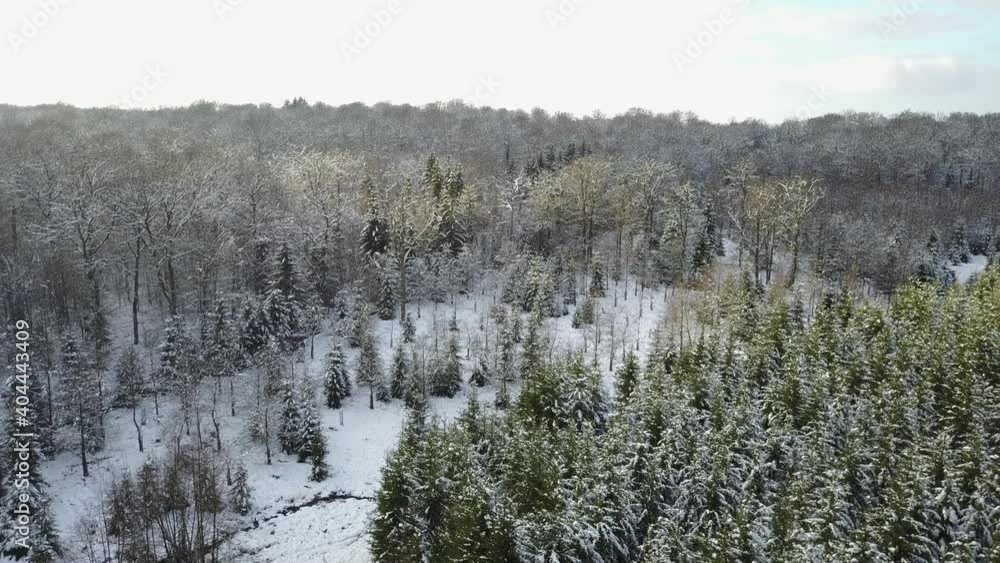 Poster Belgique Wallonie Gaume Neige hiver bois foret Ardennes