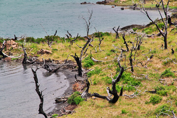 Torres del Paine National Park, Patagonia, Chile