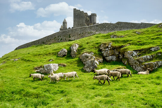 The Rock of Cashel, County Tipperary in Ireland.