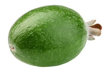 Feijoa isolated on white background, clipping path, full depth of field