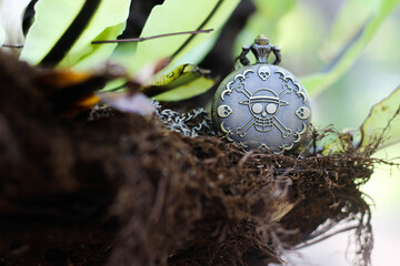 one piece pocket watch with skull engraving on a tree full of roots