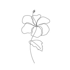 Hibiscus flower in one line art drawing style. Black line sketch on white background. Vector illustration