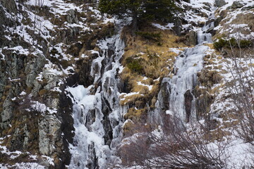 Fototapeta na wymiar closeup of a frozen waterfall in the mountains and dry yellow grass