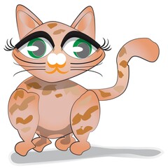 Cute female cat with big eyes