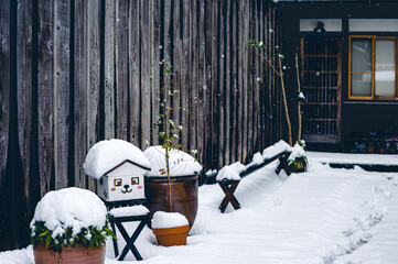 倉吉の冬 - Winter city in Japan