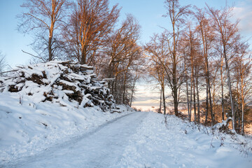 Naklejka premium Die Abenddämmerung legt sich über die zauberhafte Schneelandschaft in der Eifel