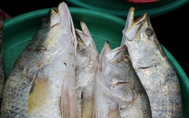 fresh raw seafood at traditional asian market