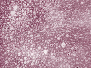 Pink water drops background
