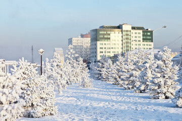 Siberian city of Irkutsk on a frosty winter day. View from the park on the Lower Embankment of the Angara with white frosty trees to the building of the city savings bank. Winter cityscape