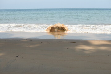 rock on the beach with sea wave in summer