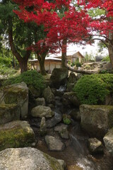 Fototapeta premium 綺麗に整えられた日本庭園