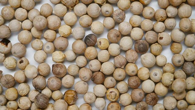 top view HuJiao or Piperis Fructus or Black Pepper Fruit rotating