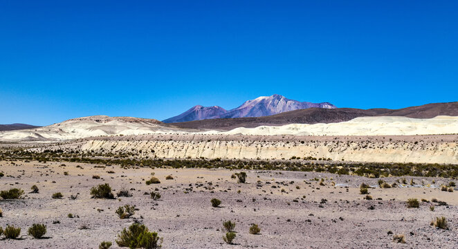 Altiplano, Los Flamencos National Reserve