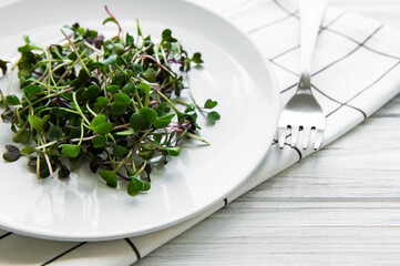 Micro greens in a plate on a white background, micro green, healthy food concept