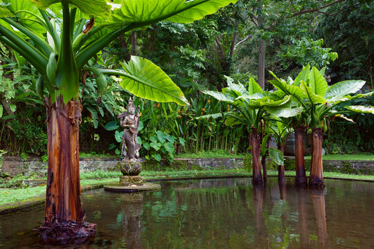 Natural water pool with Devi Saraswati old sculpture, hindu goddess of knowledge. Ancient water garden Tirta Gangga. Culture, arts of Bali, popular travel destinations in Indonesia