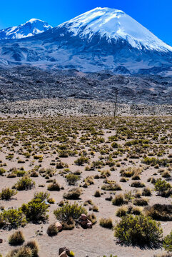 Parinacota And Pomerape Volcanoes