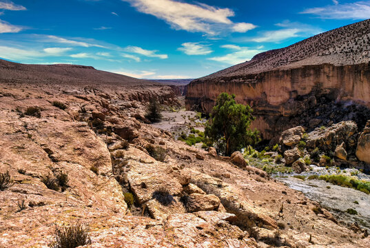 Large river canyon running through the Atacama Desert in the Arica y Parinacota Region of northern Chile.