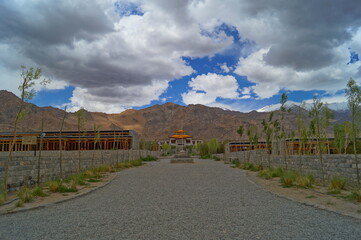 landscape with the gravel road