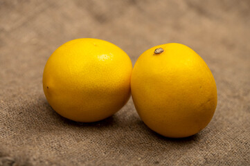 Ripe lemons on a background of homespun fabric with a rough texture. Close-up, selective focus.