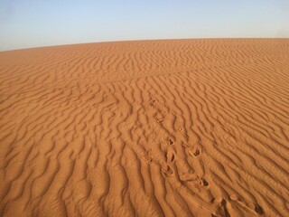 sand dunes in the desert