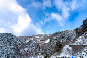 Fototapeta na wymiar 【長野県】ビーナスラインの冬景色