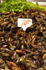 Mediterranean mussel (Mytilus galloprovincialis), fresh on ice at the selling price