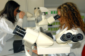 Laboratory analysis using plates for food analysis and food control. In the photo, researchers with scanning electron microscope