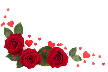 Red roses isolated on white - 404480421