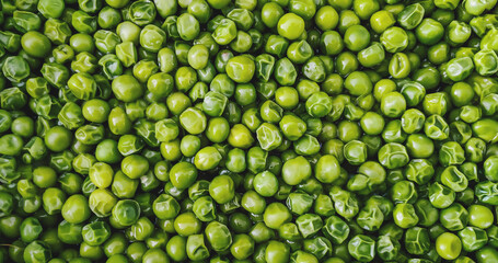 Green peas background. Green pea texture top view copy space. Beautiful close up of fresh peas. Healthy vegetarian food, vegetable.