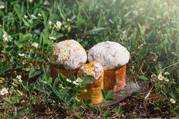 Three easter cakes in the nature against a background of a green spring grass