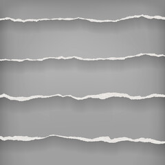 Pieces of torn, ripped white paper strips with soft shadow are on grey background for text. Vector illustration