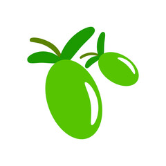 Two green olives on white background, sign for design, vector illustration