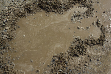 puddles(water hole) on the road.