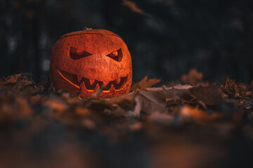 Halloween. All Saints' Day. Pumpkin - Jack lantern in the fog