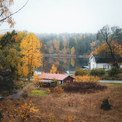 landscape with a house