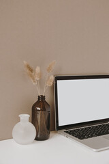 Blank screen laptop. Home office desk table workspace with fluffy plant in bottle on pastel beige...