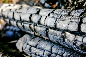 Close-up of charred burnt black log with selective focus, abstract background, copy space, texture