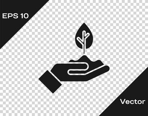 Black Plant in hand of environmental protection icon isolated on transparent background. Seed and seedling. Planting sapling. Vector.