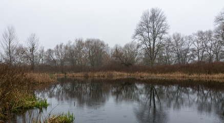 Overcast. The forest along the river is reflected in the water. Tranquil nature scene.