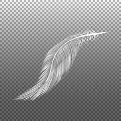 White Fluffy Twirled Feather Set Closeup Isolated on Transparency Grid Background. Vector illustration EPS10