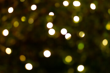 Green abstract bokeh background with lights