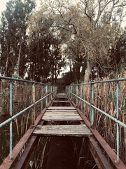 Abandoned bridge over the lake