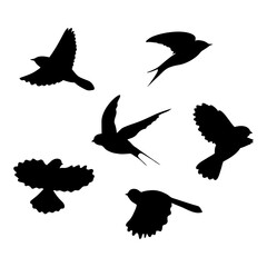 Collection of flying birds silhouettes on white background.