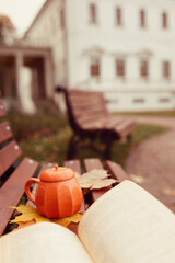 halloween pumpkin on a wooden table