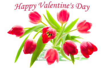 Valentine's Day. A beautiful bouquet of red tulips with text on white isolated background close up