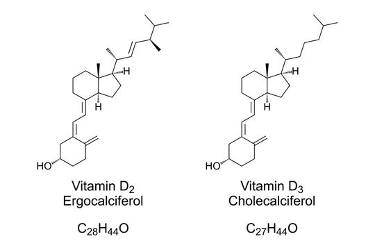 Vitamin D2 and Vitamin D3, chemical structure and skeletal formula. Ergocalciferol and Cholecalciferol, also known as calciferol, the two vitamers and major forms of Vitamin D. Illustration. Vector.