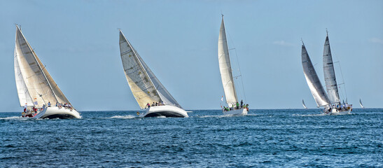 Sailing yacht regatta. Yachting. Sailing - 404502006