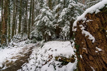 Hike through the snowy ravine near Schmalegg