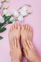 Obraz na płótnie Canvas top view of female hands and feet with pastel nail polish near white eustoma flowers on pink background