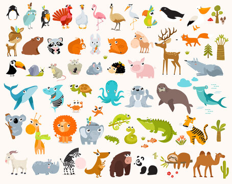 Print. Big set of cartoon animals. Forest animals, tropical animals, sea animals.
